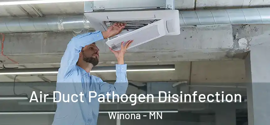 Air Duct Pathogen Disinfection Winona - MN