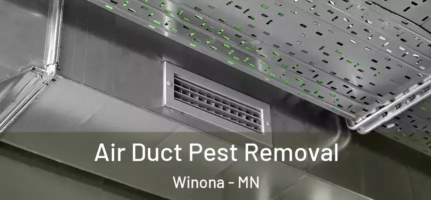  Air Duct Pest Removal Winona - MN