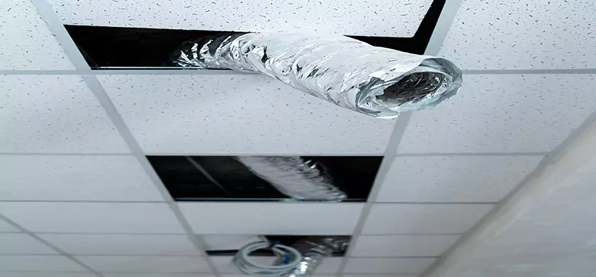 Affordable HVAC Sanitizing After Pest Removal in Winona