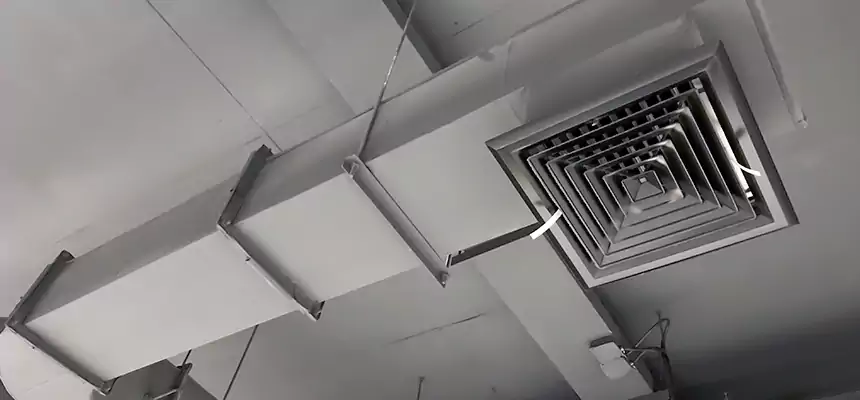 Our Pest Removal From Ducts Services in Winona, MN