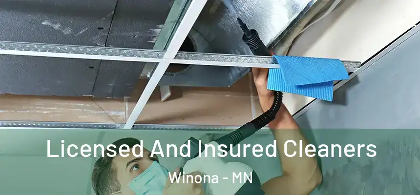  Licensed And Insured Cleaners Winona - MN