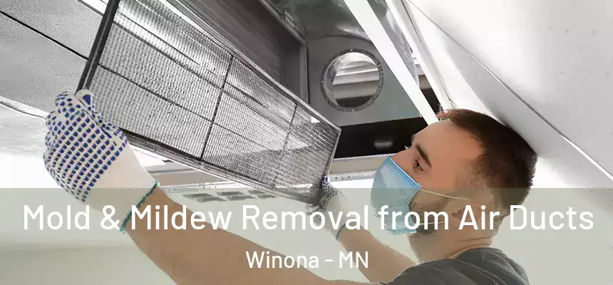  Mold & Mildew Removal from Air Ducts Winona - MN