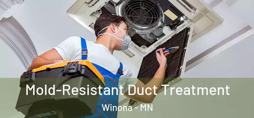  Mold-Resistant Duct Treatment Winona - MN