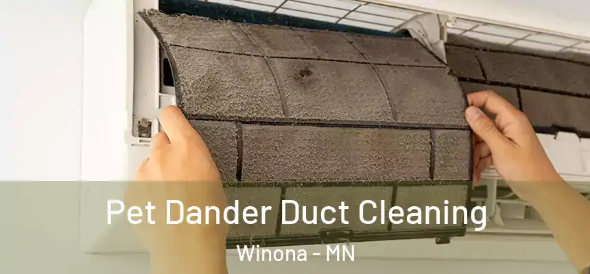  Pet Dander Duct Cleaning Winona - MN