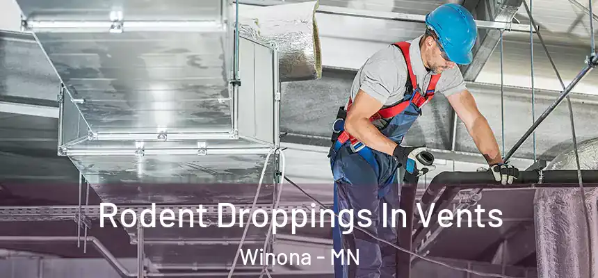  Rodent Droppings In Vents Winona - MN