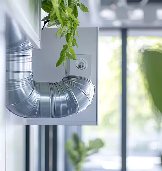 Professional Eco-Safe Dryer Vent Cleaning in Winona, MN