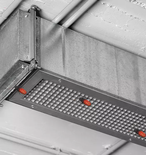 Affordable Insect Removal from Air Ducts in Winona, MN