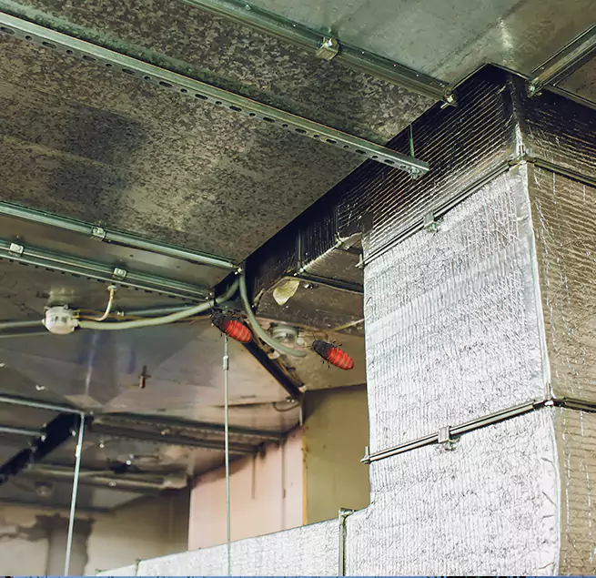 Why Homeowners & Businesses Trust Us in Winona, MN?