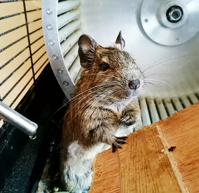 Why Homeowners & Businesses Trust Us Winona, MN