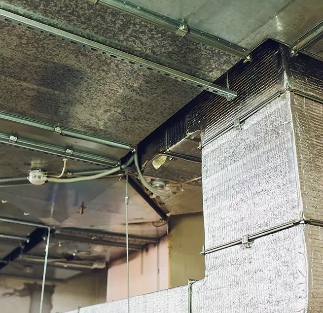 Why Homeowners & Businesses Trust Us in Winona, MN?